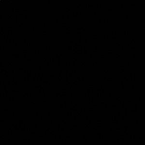 Meet your Posher, Airiyel!